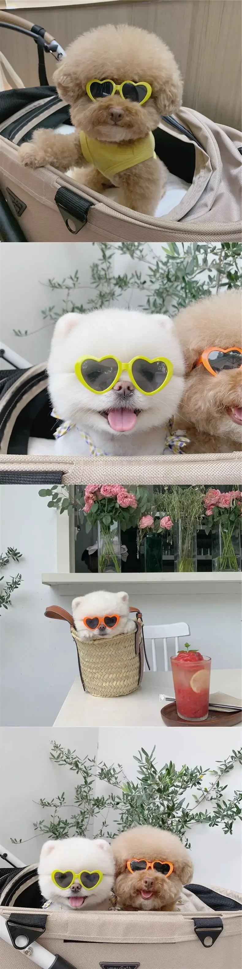 Fashion Pet Sunglasses with Heart-Shaped Jewelry Accents for Dogs & Cats