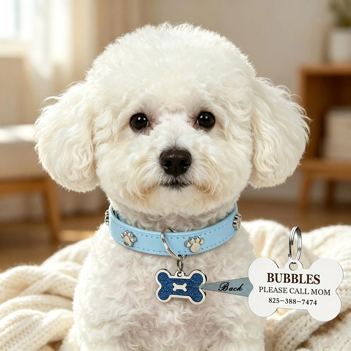 A fluffy white dog wearing a light blue collar with a bone-shaped tag and a paw print charm.