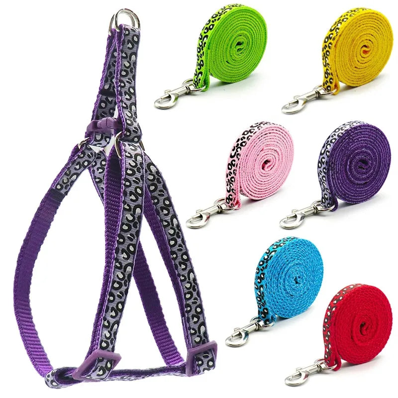 A collection of purple and green adjustable dog harnesses and leashes for small pets.