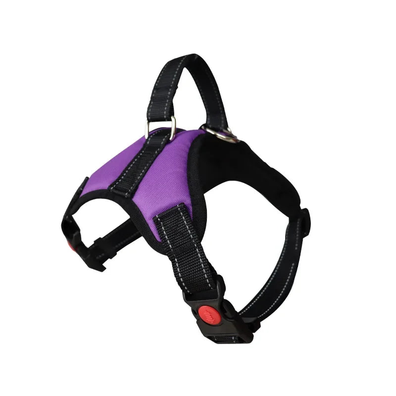 Purple and black adjustable no-pull dog harness with reflective strips