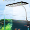 USB LED clamp light illuminating a vibrant underwater aquarium setup with fish and plants