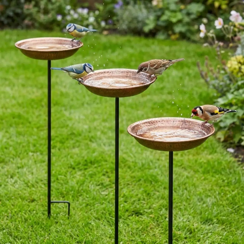 Rustic Iron Bird Feeder with Wide-Mouth Water Basin
