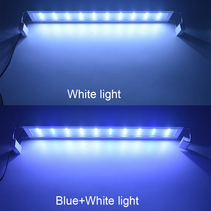 Lampe LED à clipser pour aquarium : poissons et plantes