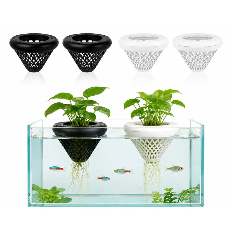 A clear glass floating aquarium plant holder with suction cups and a black pot containing green plants.