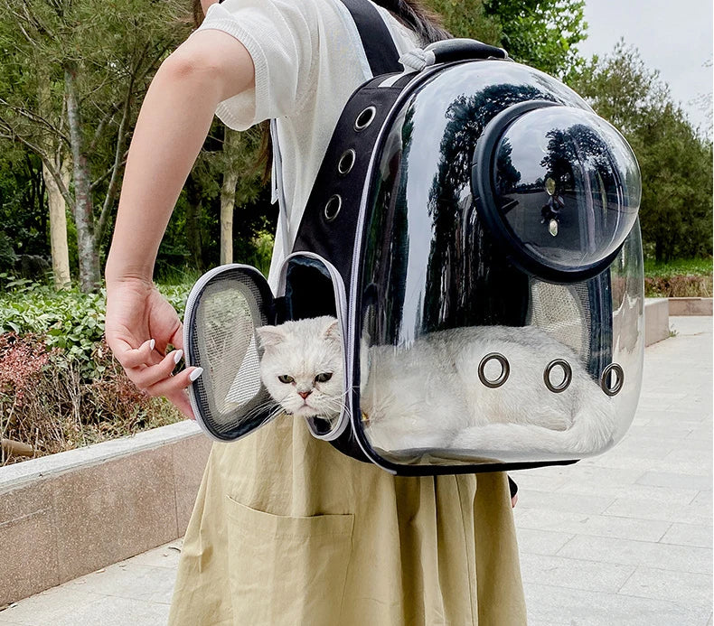A person is carrying a black transparent backpack designed for pets, with a white cat visible inside.