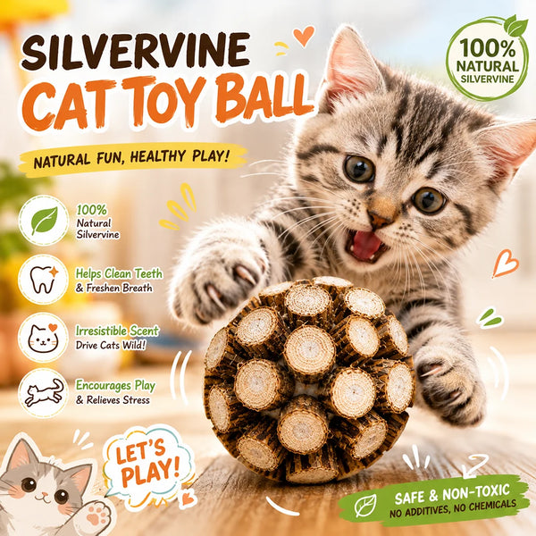 A kitten plays with a round, textured silvervine cat toy ball on a wooden surface.