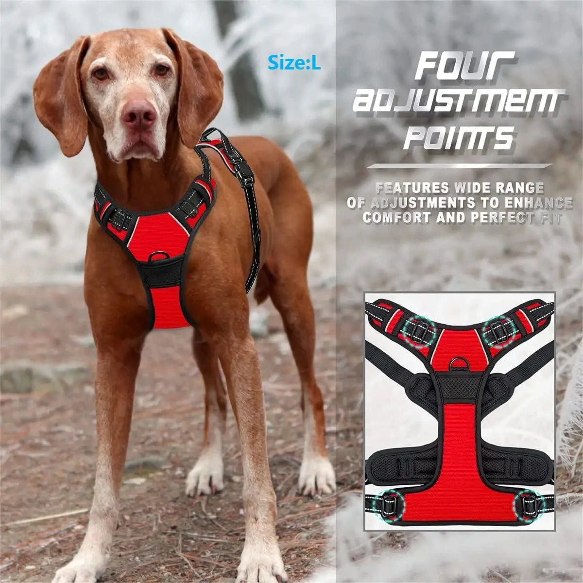 Rotes und schwarzes Hundegurt wird auf einem braunen Hund gezeigt, mit verschiedenen Einstellpunkten.