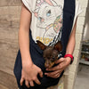 Adjustable Dog Carrier Sling Bag
