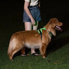 Rechargeable LED Dog Harness with Reflective Strips