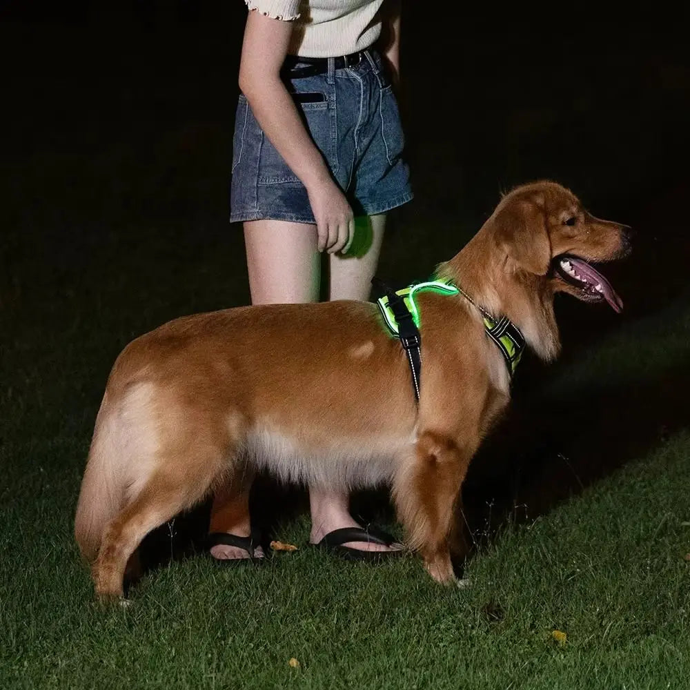 Rechargeable LED Dog Harness with Reflective Strips