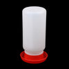 Automatic Poultry Feeder and Drinker Water Dispenser