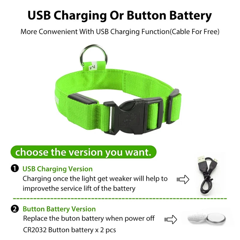 USB Charging Glowing Dog Collar with Pendant - Night Safety