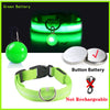 USB Charging Glowing Dog Collar with Pendant - Night Safety