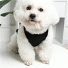 A fluffy white dog wearing a black pet vest sitting on a white surface.