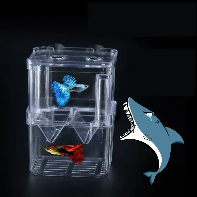 Acrylic Fish Breeding Isolation Box with Double Compartments