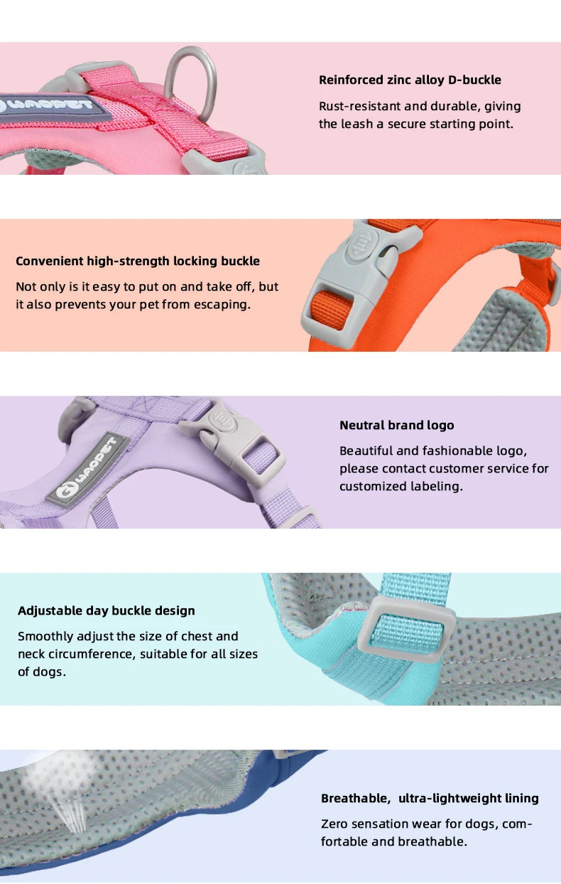 A set of adjustable dog harness and leash featuring reinforced zinc alloy buckle and breathable lining.
