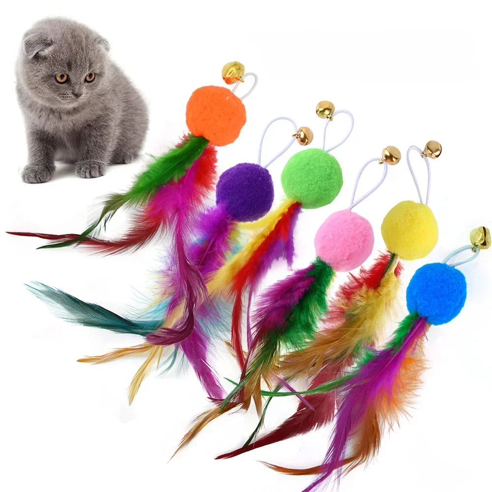 Ein flauschiges graues Kätzchen neben einem farbenfrohen Federspielzeug mit Pompons und Glocken.