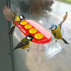 Refillable Hummingbird Feeder with Window Suction Cups