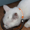 Personalisierte Leder-Halsband für Katzen mit graviertem Namen