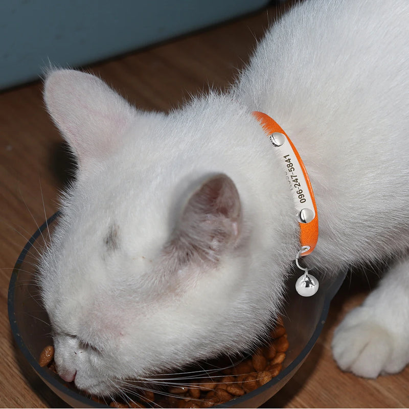 Personalisierte Leder-Halsband für Katzen mit graviertem Namen