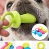 Durable Chew Toy for Small Dogs with Teeth-Cleaning Spikes
