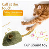 A fluffy orange cat is interacting with a green squeaky mouse toy.