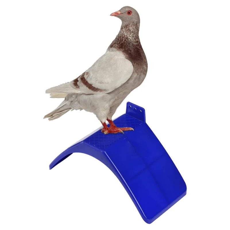 Una paloma gris realista posada en un soporte de plástico azul para palomas