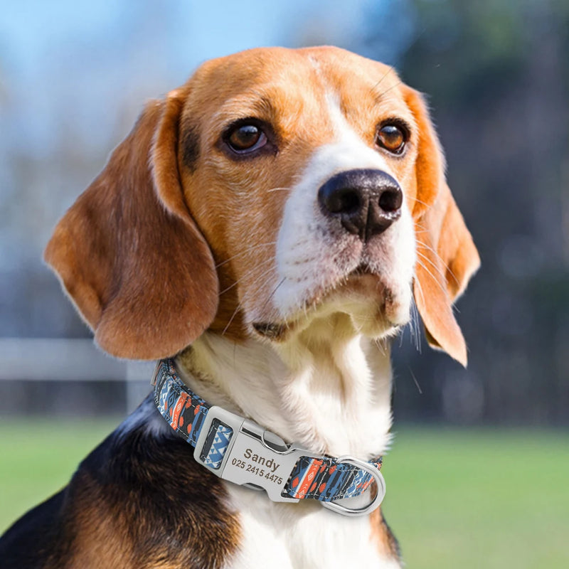 Personalisierte Nylon-Hundehalsband mit graviertem ID-Plättchen