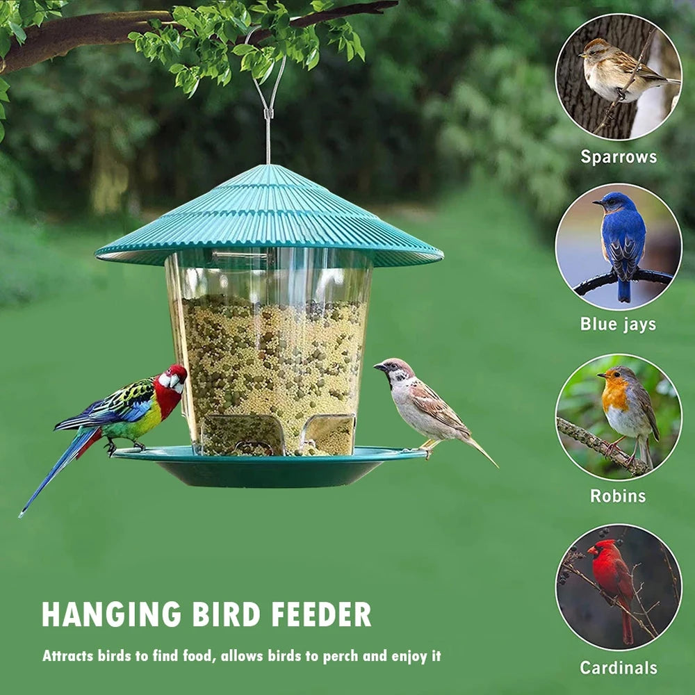 A hanging bird feeder with a dome roof attracting various wild birds like sparrows, blue jays, robins, and cardinals.