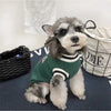 Classic V-Neck Knit Pet Sweater for Small Dogs & Cats