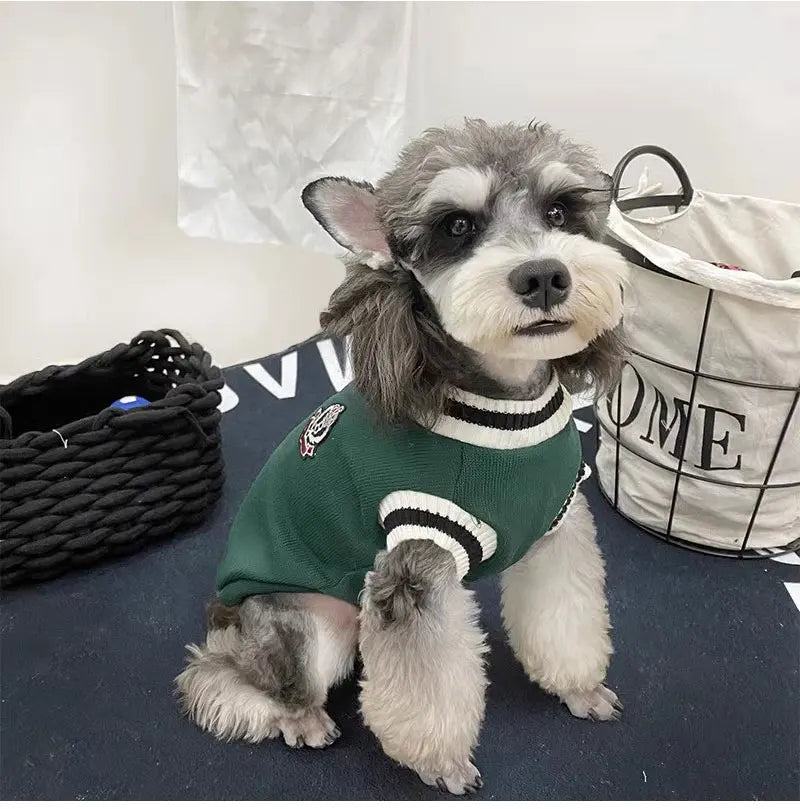Classic V-Neck Knit Pet Sweater for Small Dogs & Cats