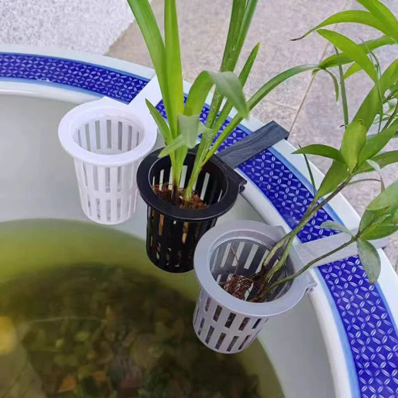 Wall-Mounted Aquarium Plant Basket with Hanging Hook