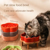 Ceramic Slow Feeder Bowl for Cats and Small Dogs