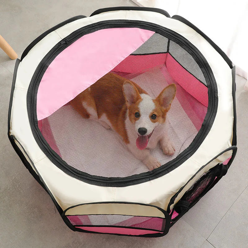 Ein Hund entspannt sich in einem rosa-weißen, faltbaren Nestbett für Hunde und Katzen.