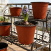 Plastic Plant Nursery Pots with Drainage Holes (Set of 10)