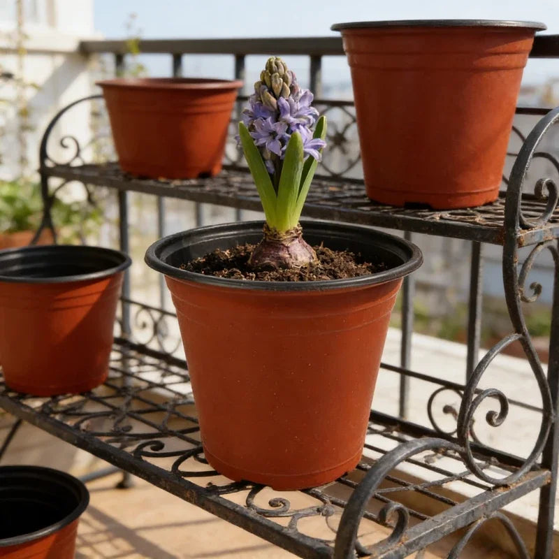 Plastic Plant Nursery Pots with Drainage Holes (Set of 10)