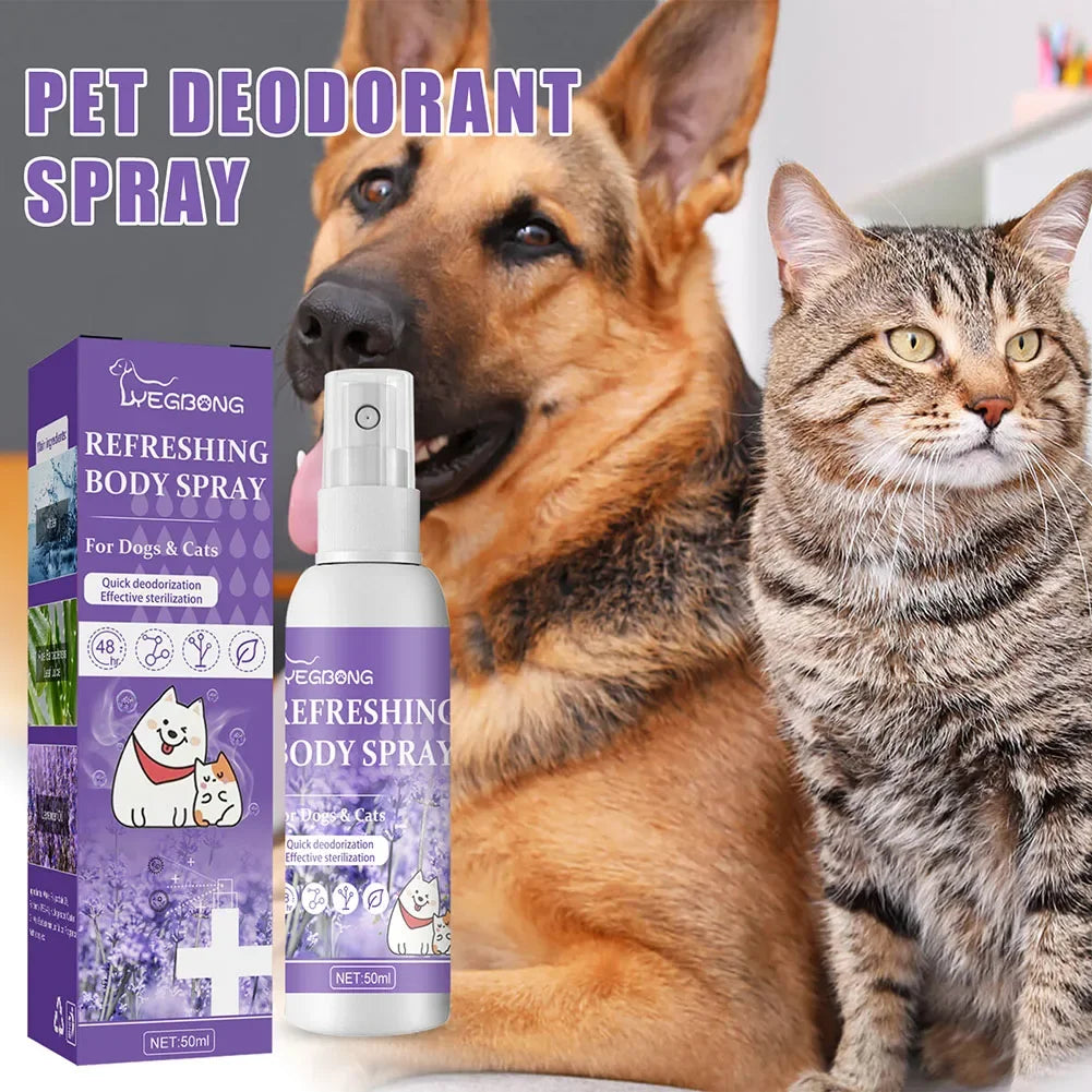 Flakon mit Vegbong Body Spray für Hunde und Katzen neben einem Golden Retriever und einer tabby Katze.