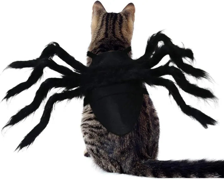 Halloween Spider Costume for Small Dogs and Cats
