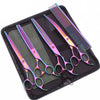 A black case holding a set of professional stainless steel pet grooming scissors with iridescent blades.