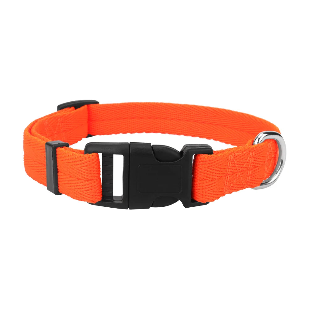 Orange nylon dog collar with a black quick-release buckle.