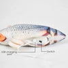 Interactive Floppy Fish Cat Toy with Motion Sensor
