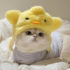 Adorable Knit Bear Hat for Cats and Dogs
