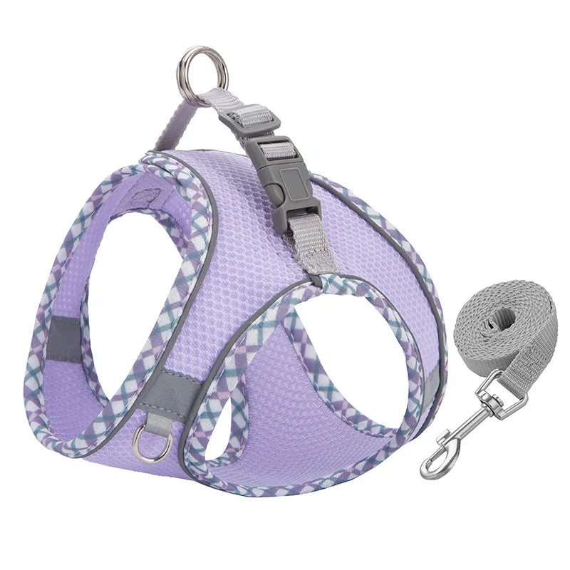 A purple reflective adjustable dog harness and leash set with a silver clip.