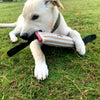 A light-colored dog is playing with a beige and white jute tug of war toy on green grass.