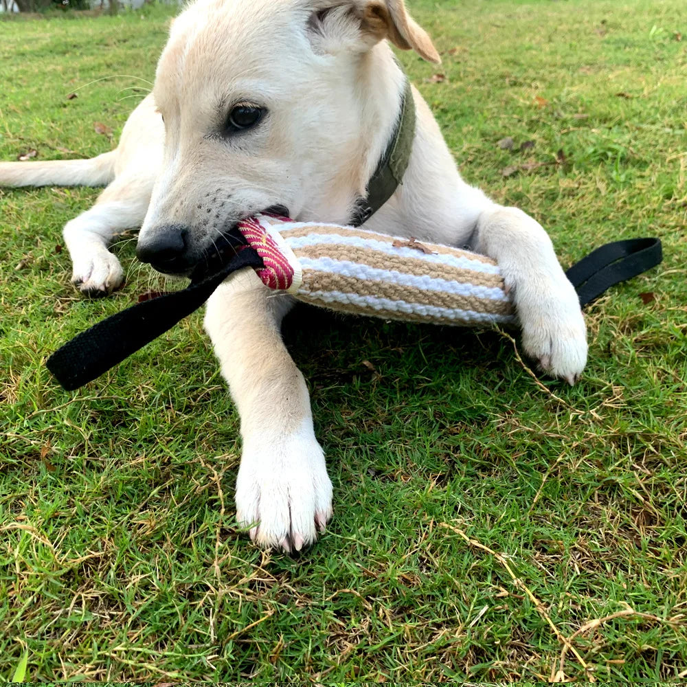 A light-colored dog is playing with a beige and white jute tug of war toy on green grass.