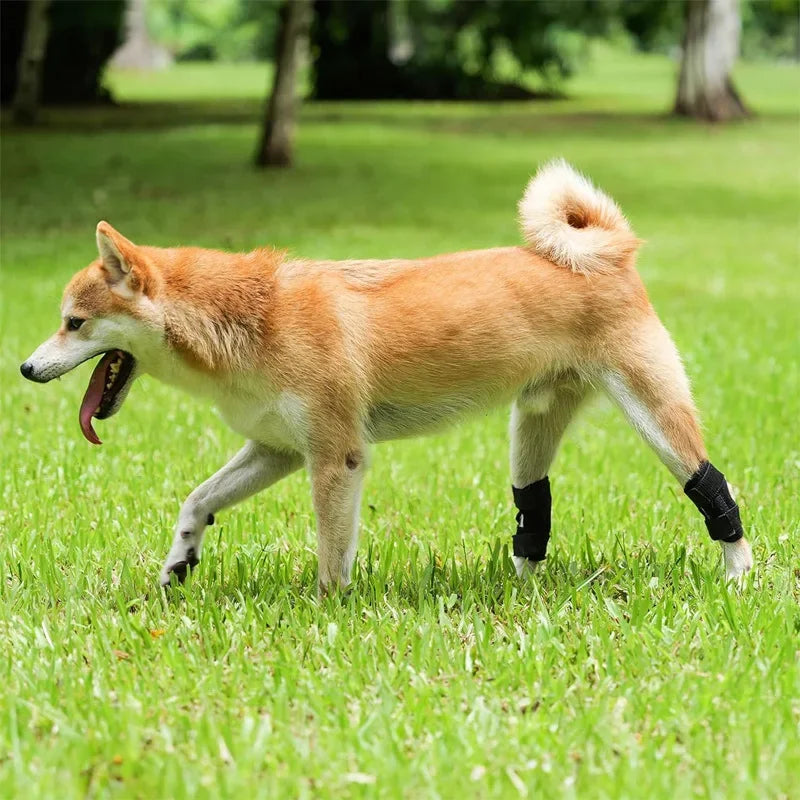 Dog Knee Support Brace for Arthritis and Joint Recovery