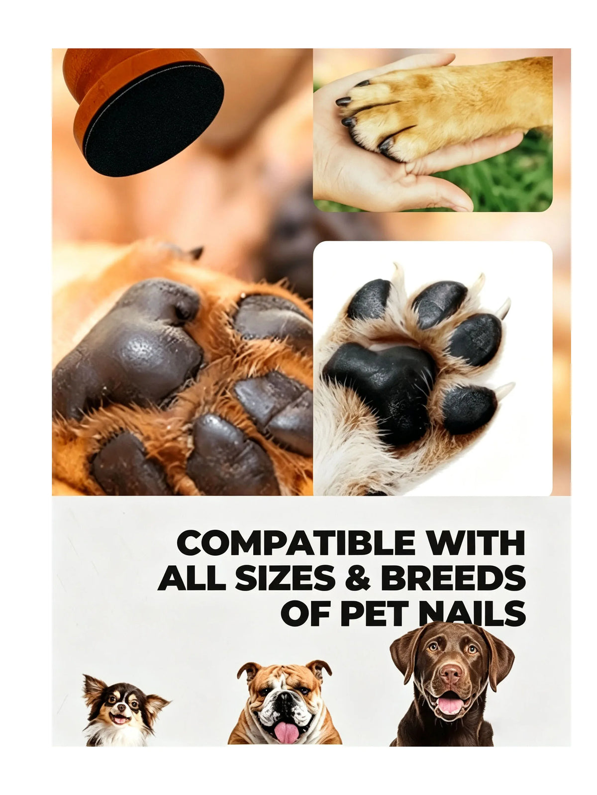 Close-up of a dog's paw and a wooden nail file with sandpaper pads demonstrating compatibility for various pet nails.