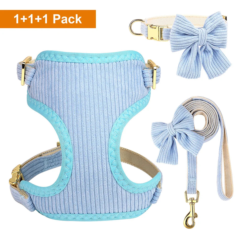 Helles blaues Hundehalsband und Leine-Set mit dekorativen Schleifen und Halsbändern in einem 1+1+1-Pack.