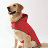 Impermeable Amarillo para Perro de Doble Capa