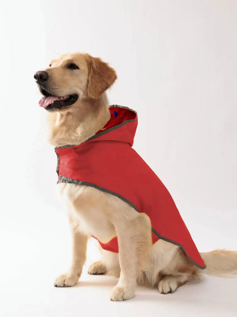 Impermeable Amarillo para Perro de Doble Capa